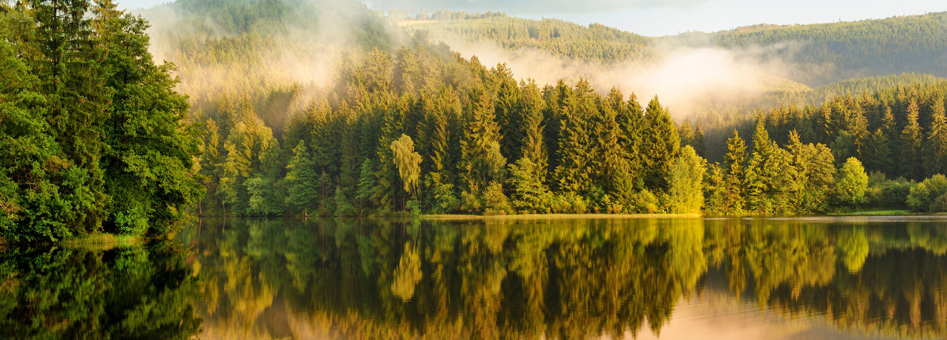 Wandern im einzigartigen Nationalpark Harz